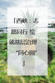 西峡：志愿同行 绘就基层治理“同心圆”