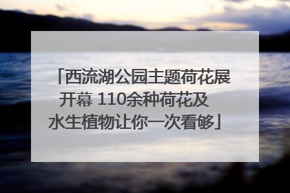 西流湖公园主题荷花展开幕 110余种荷花及水生植物让你一次看够