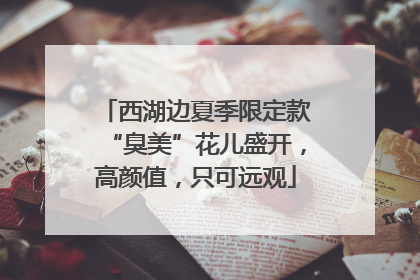 西湖边夏季限定款“臭美”花儿盛开，高颜值，只可远观