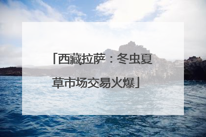 西藏拉萨：冬虫夏草市场交易火爆