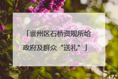 襄州区石桥资规所给政府及群众“送礼”