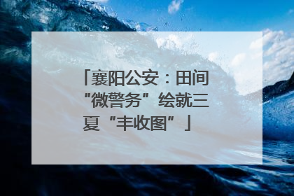 襄阳公安：田间“微警务”绘就三夏“丰收图”