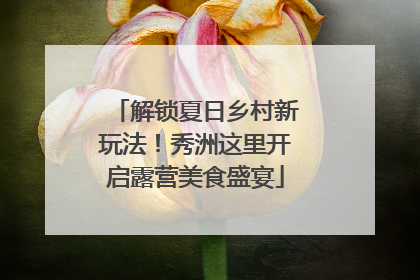 解锁夏日乡村新玩法！秀洲这里开启露营美食盛宴
