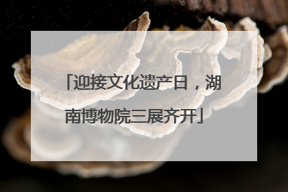 迎接文化遗产日，湖南博物院三展齐开