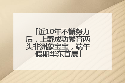 近10年不懈努力后，上野成功繁育两头非洲象宝宝，端午假期华东首展