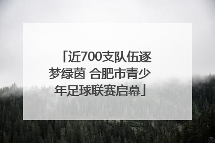 近700支队伍逐梦绿茵 合肥市青少年足球联赛启幕