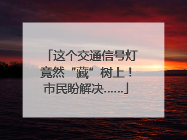 这个交通信号灯竟然“藏”树上！市民盼解决……