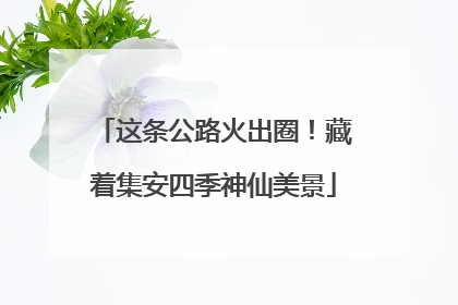 这条公路火出圈！藏着集安四季神仙美景