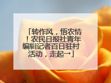 转作风，悟农情！农民日报社青年编辑记者百日驻村活动，走起→