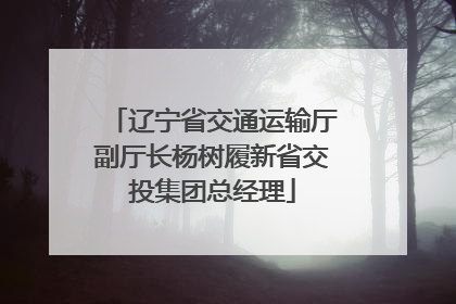 辽宁省交通运输厅副厅长杨树履新省交投集团总经理