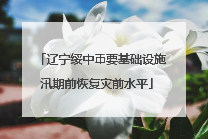 辽宁绥中重要基础设施汛期前恢复灾前水平