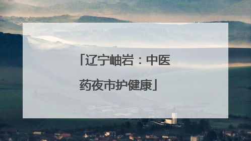 辽宁岫岩：中医药夜市护健康