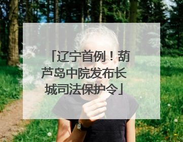 辽宁首例！葫芦岛中院发布长城司法保护令