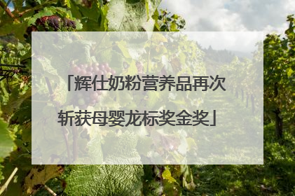 辉仕奶粉营养品再次斩获母婴龙标奖金奖