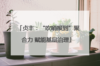 贞丰：“吹哨报到”聚合力 赋能基层治理