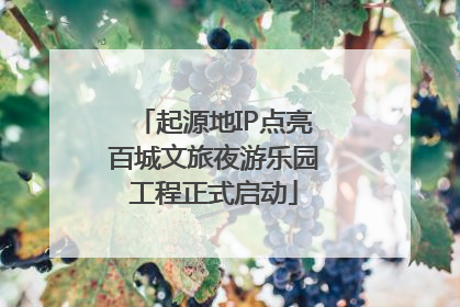 起源地IP点亮百城文旅夜游乐园工程正式启动