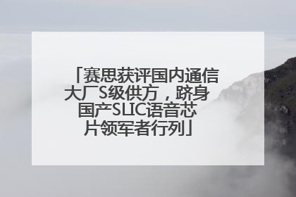 赛思获评国内通信大厂S级供方，跻身国产SLIC语音芯片领军者行列