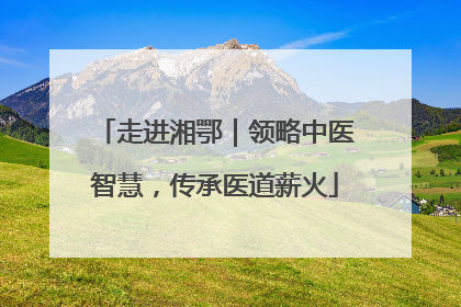 走进湘鄂｜领略中医智慧，传承医道薪火