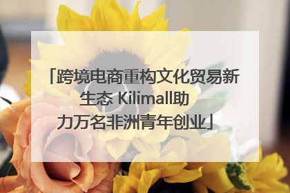 跨境电商重构文化贸易新生态 Kilimall助力万名非洲青年创业