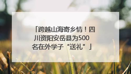 跨越山海寄乡情！四川资阳安岳县为500名在外学子“送礼”