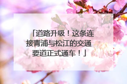 道路升级！这条连接青浦与松江的交通要道正式通车！