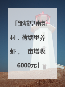 邹城皇甫新村：荷塘里养虾，一亩增收6000元