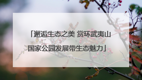 邂逅生态之美 赏环武夷山国家公园发展带生态魅力