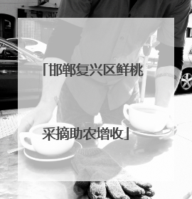 邯郸复兴区鲜桃采摘助农增收