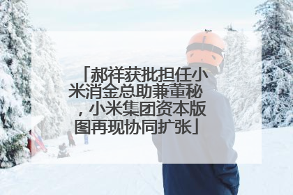 郝祥获批担任小米消金总助兼董秘，小米集团资本版图再现协同扩张