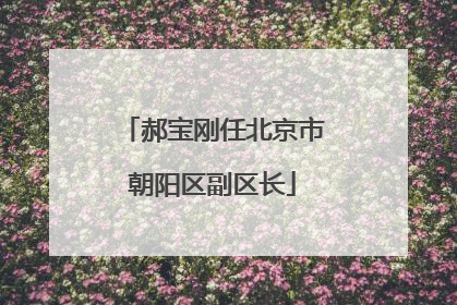 郝宝刚任北京市朝阳区副区长