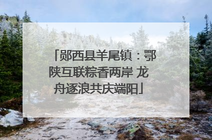 郧西县羊尾镇：鄂陕互联粽香两岸 龙舟逐浪共庆端阳