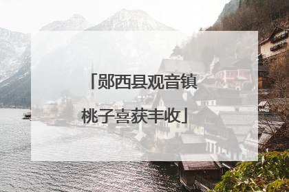 郧西县观音镇桃子喜获丰收