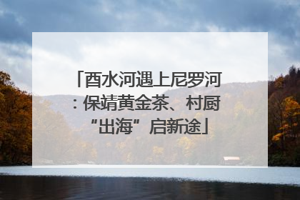 酉水河遇上尼罗河：保靖黄金茶、村厨“出海”启新途