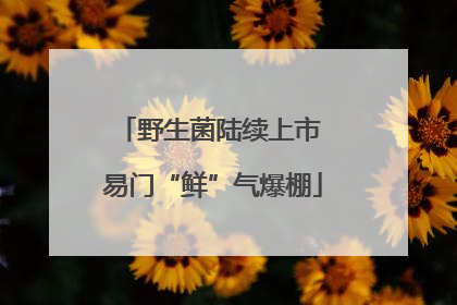 野生菌陆续上市 易门“鲜”气爆棚