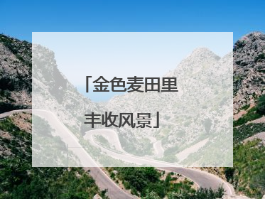 金色麦田里丰收风景