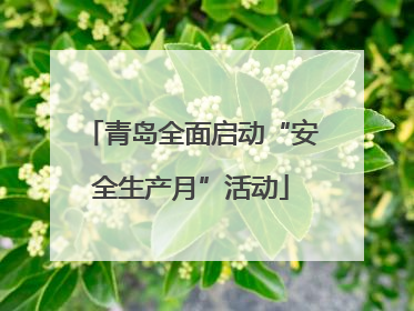 青岛全面启动“安全生产月”活动