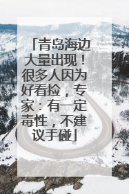 青岛海边大量出现！很多人因为好看捡，专家：有一定毒性，不建议手碰