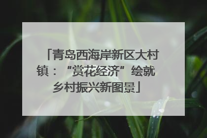 青岛西海岸新区大村镇：“赏花经济”绘就乡村振兴新图景