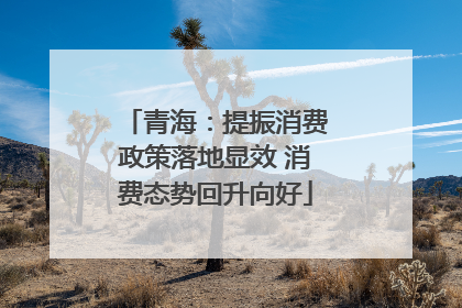 青海：提振消费政策落地显效 消费态势回升向好