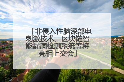 非侵入性脑深部电刺激技术、区块链智能漏洞检测系统等将亮相上交会