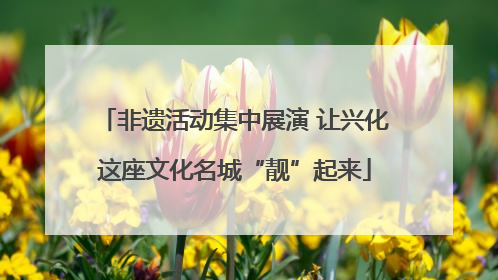非遗活动集中展演 让兴化这座文化名城“靓”起来