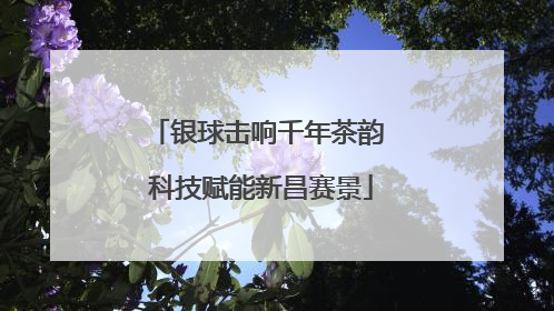 银球击响千年茶韵 科技赋能新昌赛景