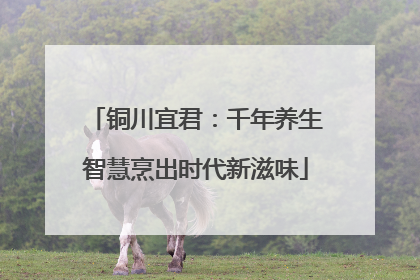 铜川宜君：千年养生智慧烹出时代新滋味