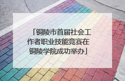 铜陵市首届社会工作者职业技能竞赛在铜陵学院成功举办