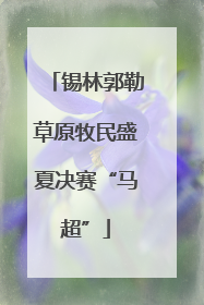 锡林郭勒草原牧民盛夏决赛“马超”
