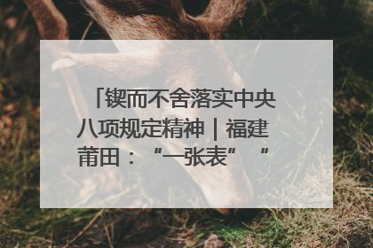 锲而不舍落实中央八项规定精神｜福建莆田：“一张表”“一张图”为基层减轻“数字负担”