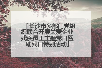 长沙市多部门党组织联合开展关爱企业残疾员工主题党日暨助残日特别活动