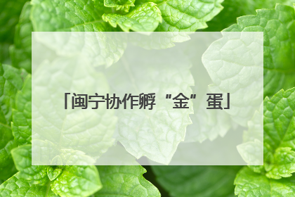 闽宁协作孵“金”蛋