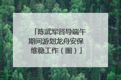 陈武军督导端午期间游划龙舟安保维稳工作（图）