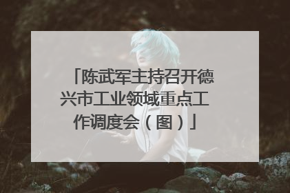 陈武军主持召开德兴市工业领域重点工作调度会（图）